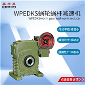 蝸桿減速器-WPEDKS型蝸桿減速器