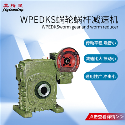 蝸桿減速器-WPEDKS型蝸桿減速器