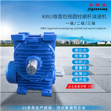 錐面包絡蝸桿減速機-KW系列錐面包絡蝸桿減速機
