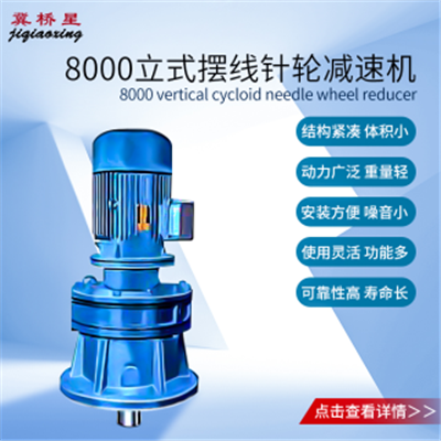 行星擺線針輪減速機(jī)-8000系列行星擺線針輪減速機(jī)