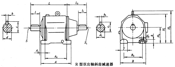 雙出軸斜齒<a href='/rxldj.html'>硬齒面減速電機(jī)</a>外形及安裝尺寸